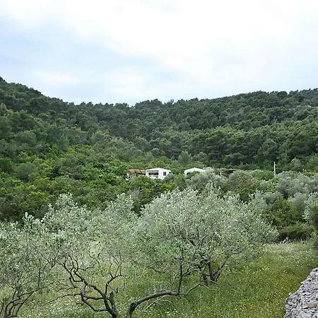 Nyaraló House Nova Gornje Selo